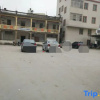 Отель Jinfeng Business Hostel (Qitou Village), фото 1