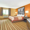 Отель Super 8 Motel - Minneapolis Area/Golden Valley, фото 2