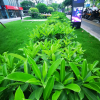 Отель QYU chain·SUNLIGHT apartment（YGCSDZX branch）, фото 27