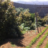 Отель Finca Biologica, фото 7