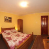 Отель Pensiunea Elisabeta, фото 2