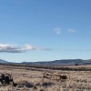 Отель Tussock Lodge Waipiata, фото 21