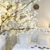 Отель Boutique Rentals Little Treasure Studio, фото 15