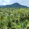 Отель Hidayah Aonang Krabi, фото 24