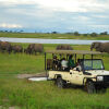 Отель Sanctuary Chobe Chilwero, фото 11