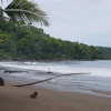Отель Drake Bay Paradise Lodge, фото 12
