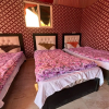 Отель Jamal rum camp, фото 5