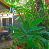 Отель Sandals Guest House Byron Bay, фото 18