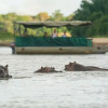 Отель Selous River Camp, фото 13