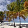 Отель Tranquility Bay Antigua, фото 44