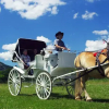 Отель Farm by the River Bed and Breakfast with Stables, фото 8