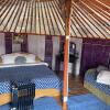 Гостиница Yurt camping, фото 5