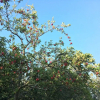 Отель Agriturismo Podere San Giorgio, фото 16