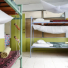 Отель Vatia Beach Eco Lodge - Hostel, фото 2