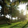 Отель Beyin Eco Beach Camp, фото 11