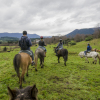 Отель Termas Puyehue Wellness & Spa Resort, фото 26