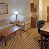 Отель Holiday Inn Express & Suites Waxahachie, an IHG Hotel, фото 7