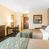 Отель Comfort Inn & Suites, фото 6