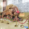 Отель Dingsheng Hotel, фото 8