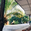 Отель Phumhaibai Resort, фото 5