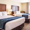 Отель Comfort Inn & Suites Niagara Falls Blvd USA, фото 30