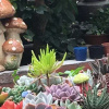 Отель Hai Chuan B&B, фото 16