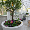 Отель Apollo Bed & Breakfast, фото 9