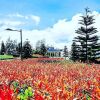 Отель HomeStay at Wind Residences в Тагайтае