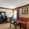 Отель Holiday Inn Express Clemmons (Winston/Salem Area), фото 50