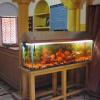 Отель Shivakashi Guest House, фото 11