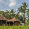 Отель Kishi-Kishi Suites Ubud by EPS, фото 15