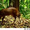 Отель Estación Biológica Tamandua, фото 23