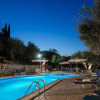 Отель Olive Grove Poolside Apartments, фото 14