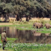Отель Elephant Lodge, фото 27