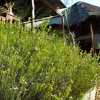 Отель Saba Airport Lodge, фото 18