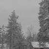 Отель Saariselkä Inn Log Cabins, фото 1