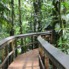Отель Cinco Ceibas Lodge, фото 16