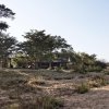 Отель Shindzela Tented Safari Camp, фото 15
