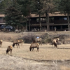 Отель Estes Lake Lodge, фото 40
