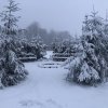 Отель Treehouse Magpies Nest With Bubble Pool, фото 7