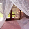 Отель Acajou Hotel, фото 1