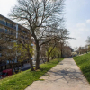 Отель ONSITE Free Garage Parking, 10min Centre by Bus, фото 1