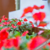 Отель Yalin Hotel, фото 9