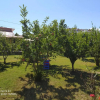 Отель Giorgos Garden House, фото 9