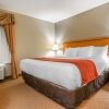 Отель Comfort Inn & Suites Goshen - Middletown, фото 32