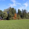 Отель Gregor's Ferienhaus im Wald, фото 44