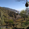 Отель In Apple Estate Kanatal, фото 15