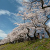 Отель Guesthouse Hakone Nennekoya, фото 15