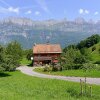 Отель House Bünten Oberterzen, фото 1