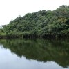 Отель Uiara Amazon Resort, фото 37